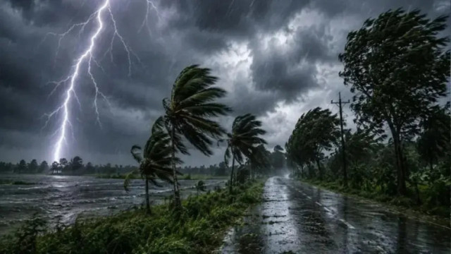 সংগৃহীত ছবি