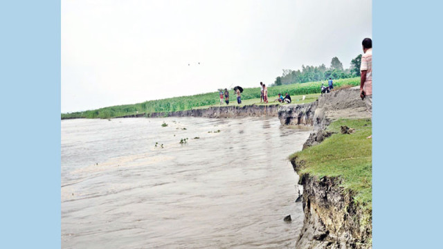 যমুনার পানি বৃদ্ধিতে বগুড়ায় নদীভাঙন, বিলীন হচ্ছে বসতভিটা ও ফসলি জমি