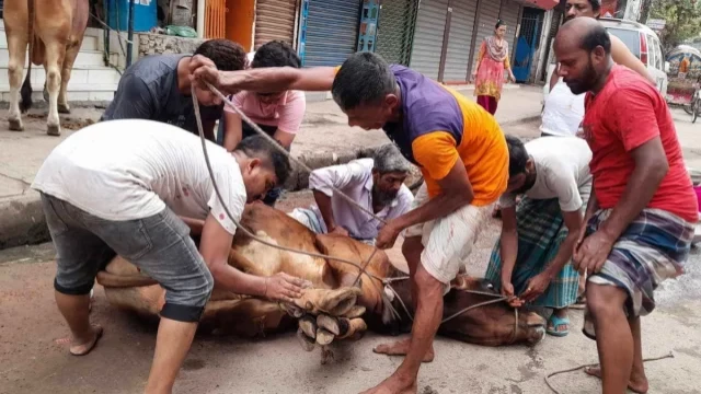 ঈদের দ্বিতীয় দিনেও চলছে পশু কোরবানি