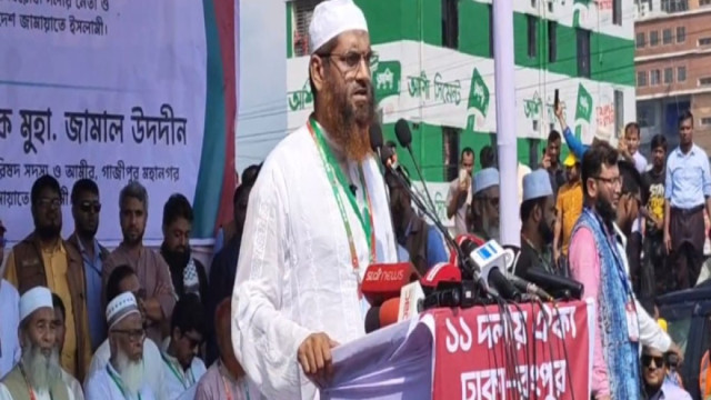 গণভোটের রায় বাস্তবায়নে সরকারের কোনো বিকল্প নেই: মামুনুল হক