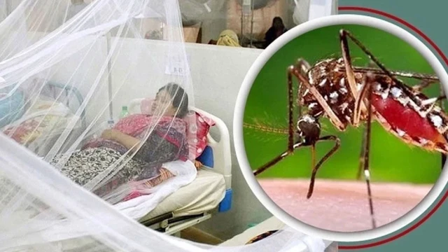 ডেঙ্গুতে এ বছর প্রাণহানি ছাড়াল ১০০