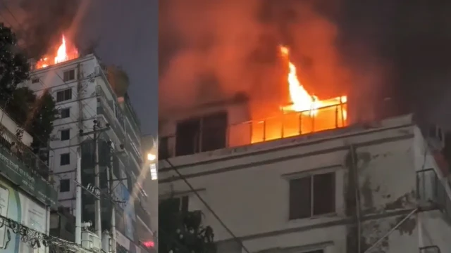 সংগৃহীত ছবি
