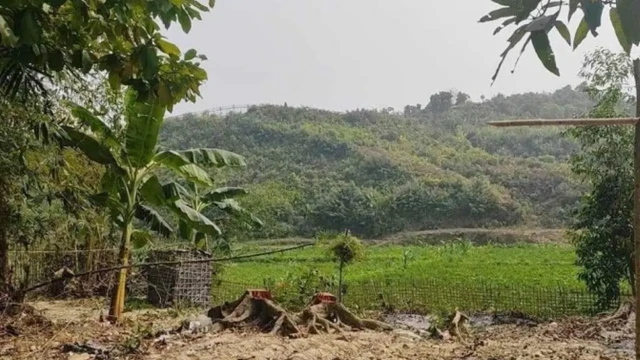 সংগৃহীত ছবি