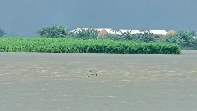 যমুনার পানি বাড়ছে, ইসলামপুরে বন্যার শঙ্কা