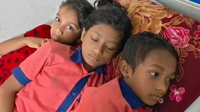 সংগৃহীত ছবি