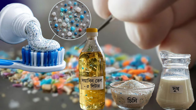 সংগৃহীত ফাইল