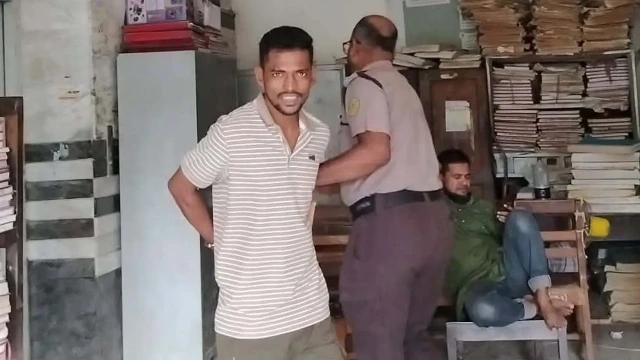 সংগৃহীত ফাইল