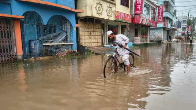 সংগৃহীত ছবি