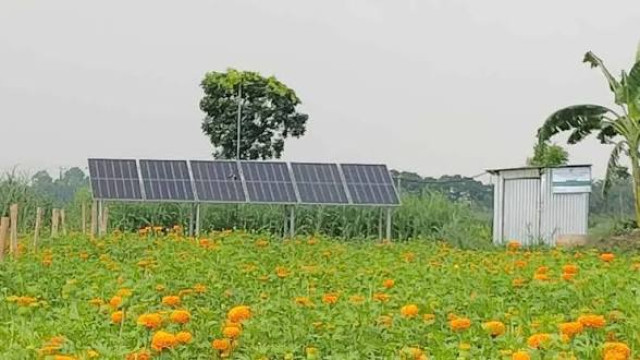 সংগৃহীত ছবি