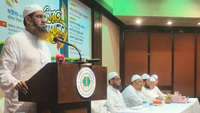 মালয়েশিয়ায় মামুনুল হক: বৈষম্যহীন সমাজ গঠনে ইসলামের বিকল্প নেই