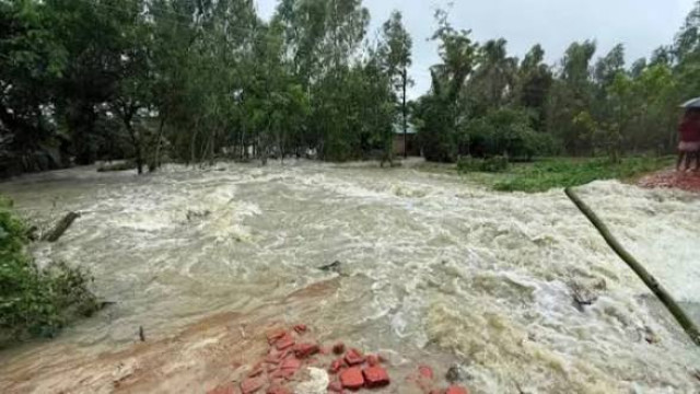 সংগৃহীত ছবি
