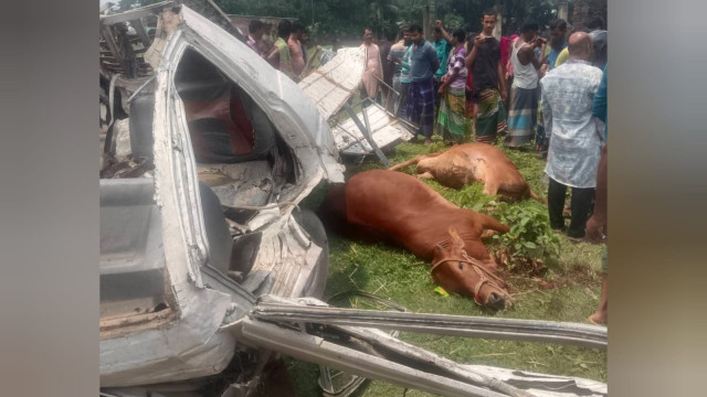 কিশোরগঞ্জের কটিয়াদী-ভৈরব আঞ্চলিক সড়কে গরুবাহী একটি পিকআপের সঙ্গে বিপরীত দিক থেকে আসা নসিমন-টমটমের সং...