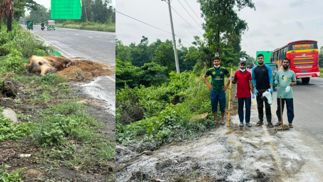 সংগৃহীত ছবি