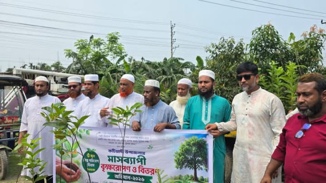 সংগৃহীত ছবি