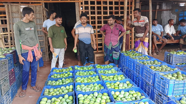 সংগৃহীত ছবি