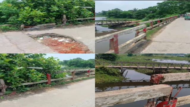সংগৃহীত ছবি
