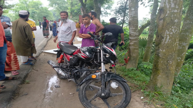 সংগৃহীত ছবি