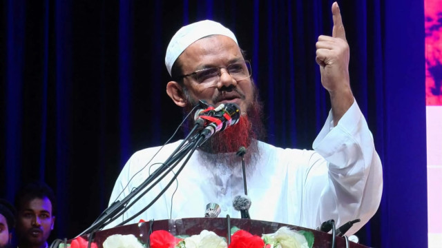 সংগৃহীত ছবি