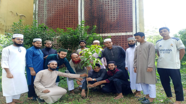 সবুজ ক্যাম্পাসের লক্ষ্যে ইবিতে আইইউসানসের বৃক্ষরোপণ
