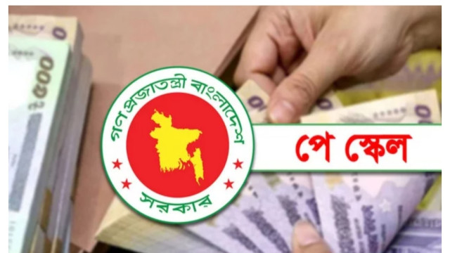 সংগৃহীত ছবি