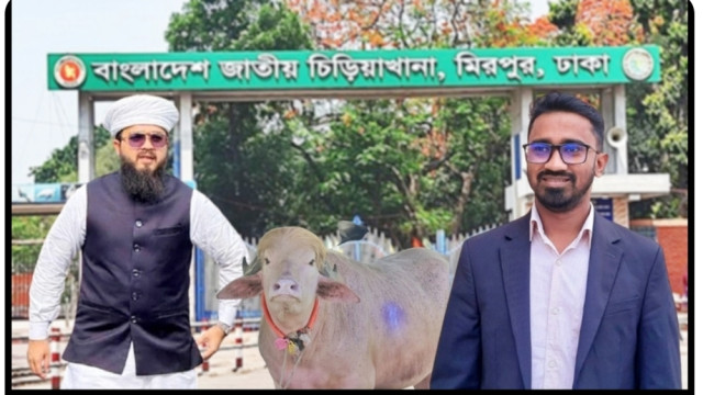 চিড়িয়াখানায় আমি থাকব বাঘের পাশে, রাশেদ খাঁনকে রাখব ‘ডোনাল্ড ট্রাম্পের’ পাশে: হানজালা