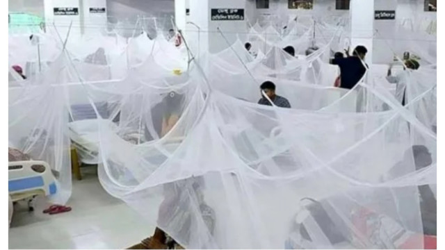 ডেঙ্গুতে একদিনে প্রাণ গেল ৫ জনের