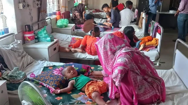 সংগৃহীত ছবি