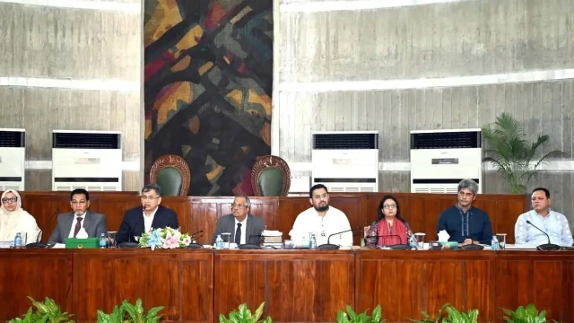 তত্ত্বাবধায়ক সরকারসহ সংবিধানের কিছু বিধান সংশোধনে গণভোট চায় বিএনপি: সালাহউদ্দিন আহমদ