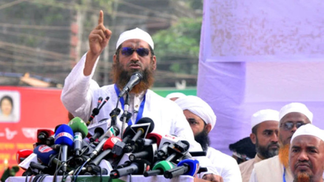 গণভোটের রায় কার্যকর না করায় দেশের বর্তমান সংকট: মামুনুল হক